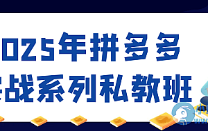 2025年拼多多实战系列私教班