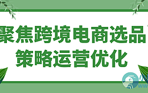 聚焦跨境电商选品策略运营优化