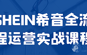 SHEIN希音全流程运营实战课程