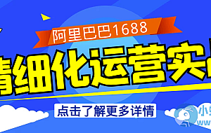 阿里巴巴1688精细化运营实战