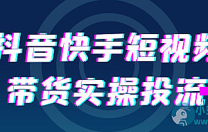 抖音快手短视频带货实操投流
