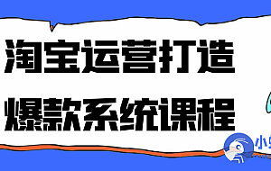 淘宝运营打造爆款系统课程