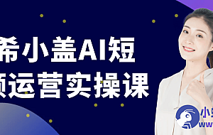 南希小盖AI短视频运营实操课