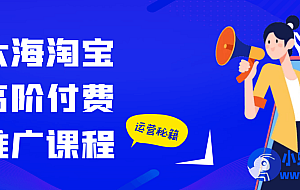 大海淘宝高阶付费推广课程