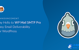 WordPress邮箱插件–WP Mail SMTP Pro v4.6.0 破解版下载