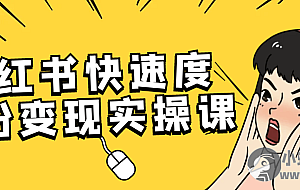 小红书快速度涨粉变现实操课