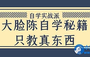 大脸陈自学秘籍只教真东西