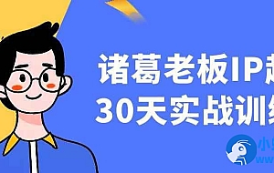 诸葛老板IP起号30天实战训练营