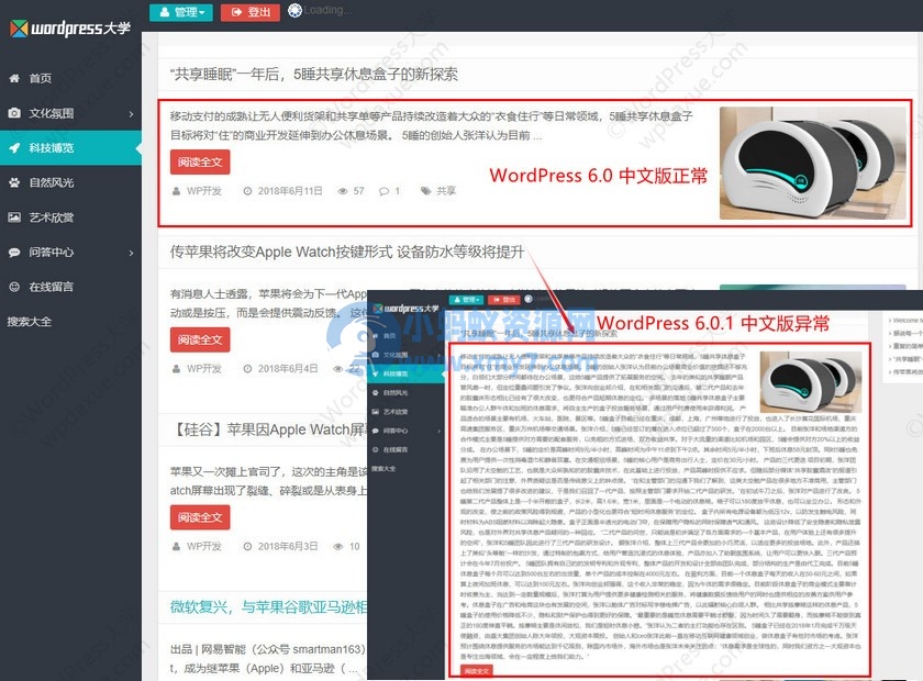 2022 08 02 112143 wpdaxue com - WordPress 6.0.1 简体中文版导致摘要截取失效的解决办法