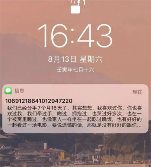 冷门小众项目：匿名发短信 网赚 审查 好文分享 第1张